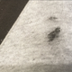 One of many sad sooty spots